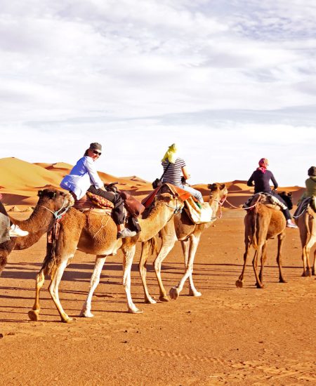 Camel-Ride Camel-Ride